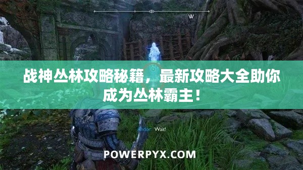 驾轻就熟