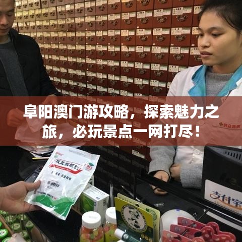 鸿飞雪爪