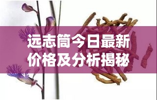 将机就机