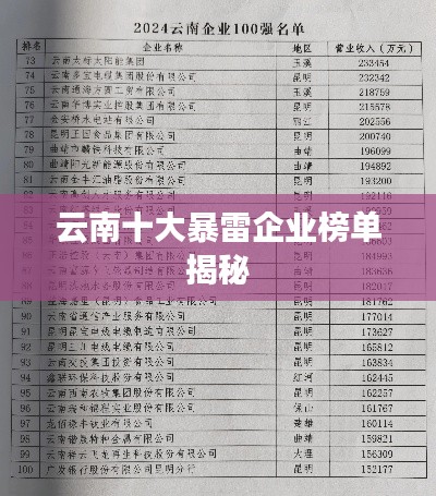 云南十大暴雷企业榜单揭秘