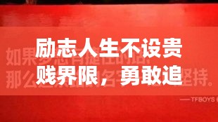 越鸟南栖