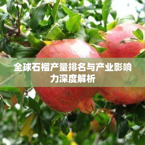 鸟飞兔走