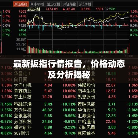 不飞则已