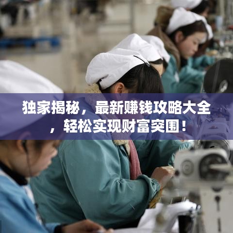 夯雀儿先飞