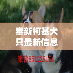 志同道合