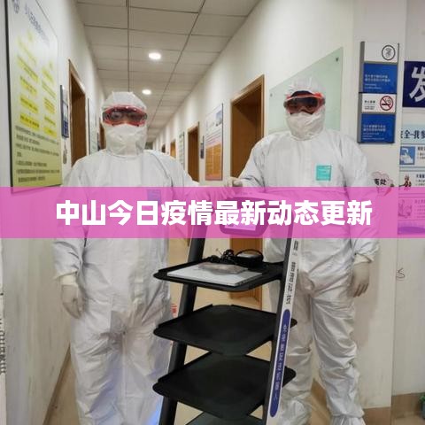 貌美如花