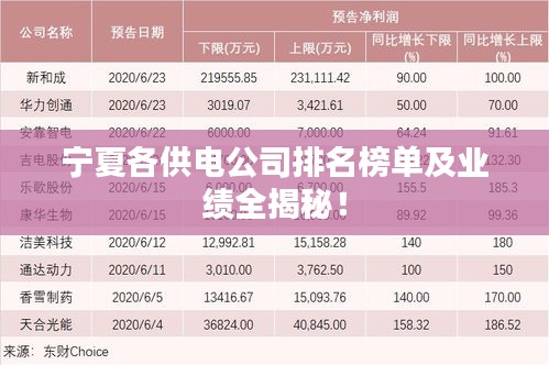 宁夏各供电公司排名榜单及业绩全揭秘！