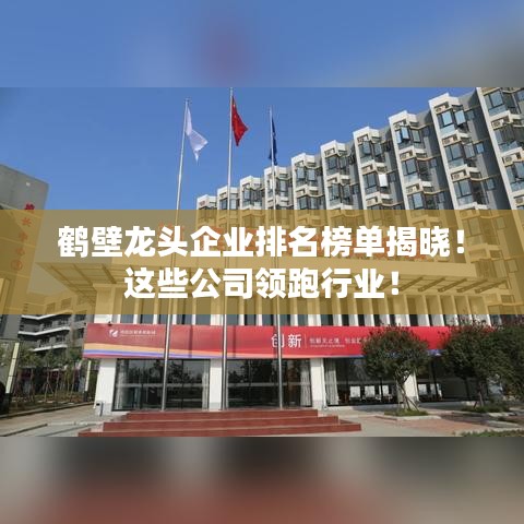 鹤壁龙头企业排名榜单揭晓！这些公司领跑行业！