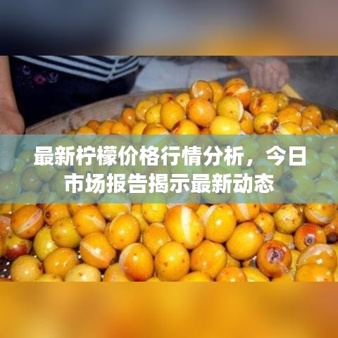最新柠檬价格行情分析，今日市场报告揭示最新动态