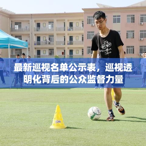 最新巡视名单公示表，巡视透明化背后的公众监督力量