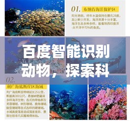 百度智能识别动物，探索科技与自然交汇的神奇之旅