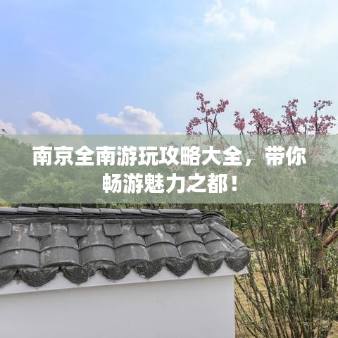 南京全南游玩攻略大全，带你畅游魅力之都！