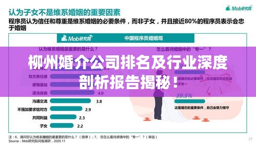 柳州婚介公司排名及行业深度剖析报告揭秘！