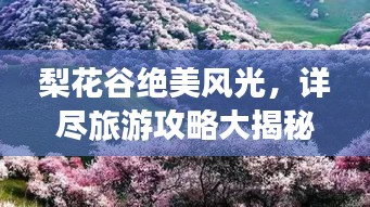 梨花谷绝美风光，详尽旅游攻略大揭秘！