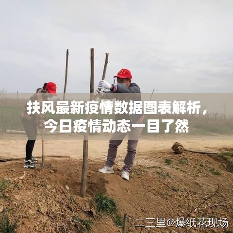 扶风最新疫情数据图表解析，今日疫情动态一目了然