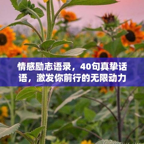 情感励志语录，40句真挚话语，激发你前行的无限动力