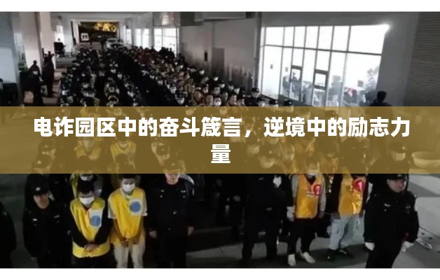 电诈园区中的奋斗箴言，逆境中的励志力量