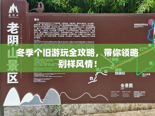 冬季个旧游玩全攻略，带你领略别样风情！