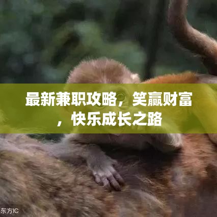 最新兼职攻略，笑赢财富，快乐成长之路