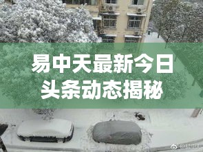 易中天最新今日头条动态揭秘