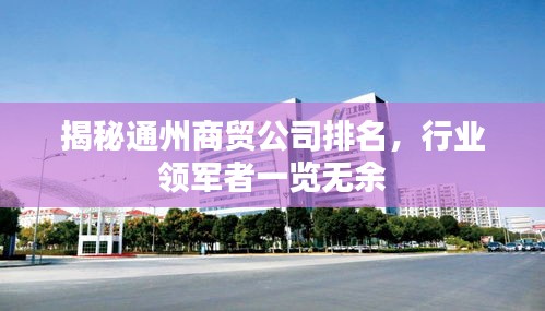 揭秘通州商贸公司排名，行业领军者一览无余