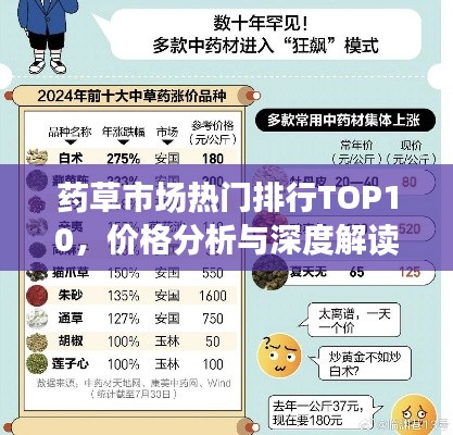 药草市场热门排行TOP10，价格分析与深度解读