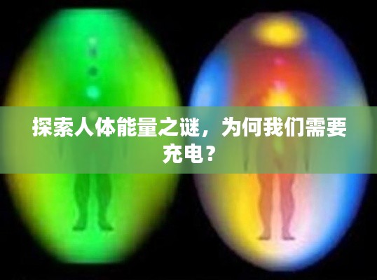 探索人体能量之谜，为何我们需要充电？