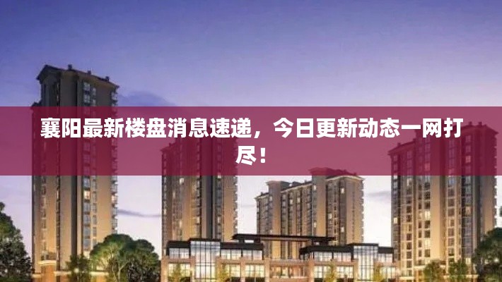 襄阳最新楼盘消息速递，今日更新动态一网打尽！