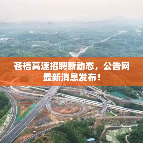 苍梧高速招聘新动态，公告网最新消息发布！