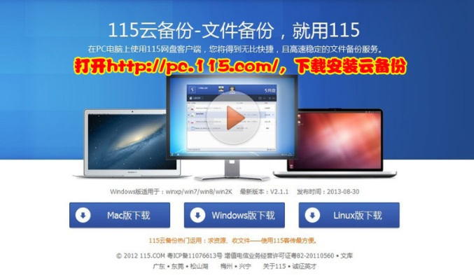 老版本115网盘,定制化执行方案分析_AP1_v2.762