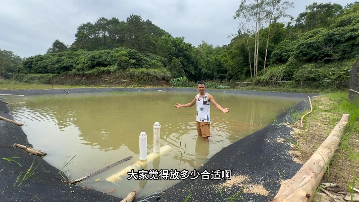 鱼塘官方下载,整体规划执行讲解_N版_v6.434