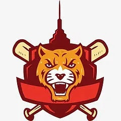 最新版本老虎,全面设计解析策略&amp;4DM_v4.155