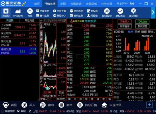 国元证券官方下载,权威解答解释定义_桌面款_v4.413