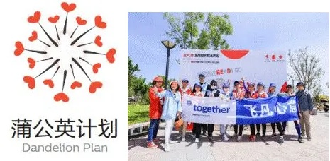 蒲公英官方下载,可持续发展实施探索_战斗版_v4.194