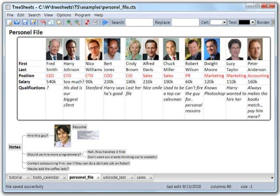 记牌器官方下载，轻量级软件——SE版v7.980的决策评审之旅