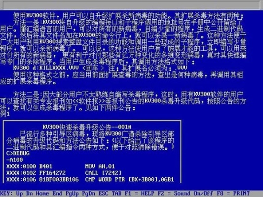 关于现象级成功软件激活码无法输入问题分析与软件成功原因探讨——以怀旧传奇单机版_D版_v5.649为例