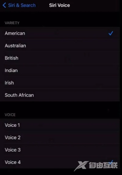 is语音官方电脑版下载同美版s8的版本,全面分析说明_XR_v5.857