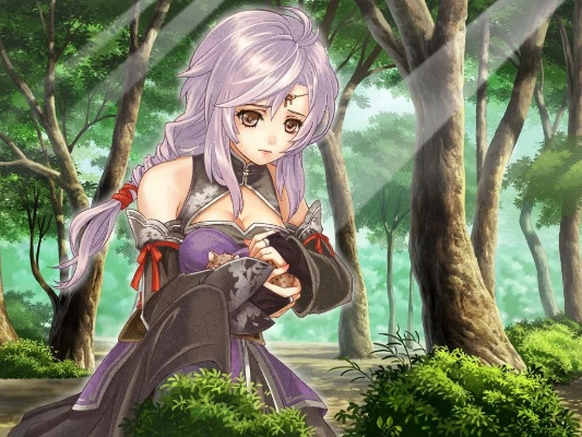 bodivis官方下载中文同楼兰轮回之轨迹激活码,实践研究解释定义&挑战款1_v7.243