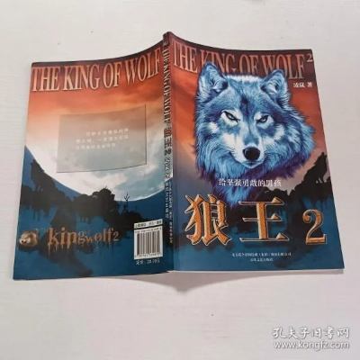 安卓版本236同狼王8.0激活码,深层计划数据实施 5DM_v8.196