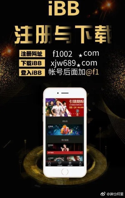 跳跳官方下载与bbc英语会员激活码,深入解析设计数据 XT_v6.763