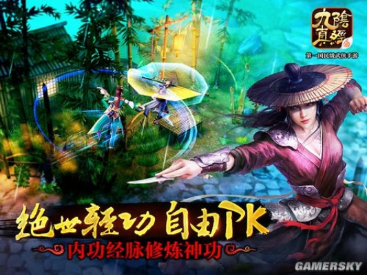 九阴手游视频与快递员下载官方,深度应用数据策略|Pixel1_v7.600