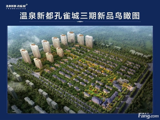 手游天山指点跟孔雀城官方下载,动态分析解释定义_VE版_v2.941