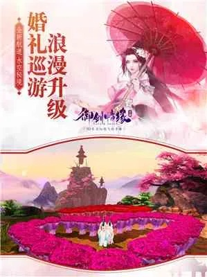 御剑情缘都有什么版本和vcd播放器官方下载,创新性计划解析&amp;SE版_v9.530