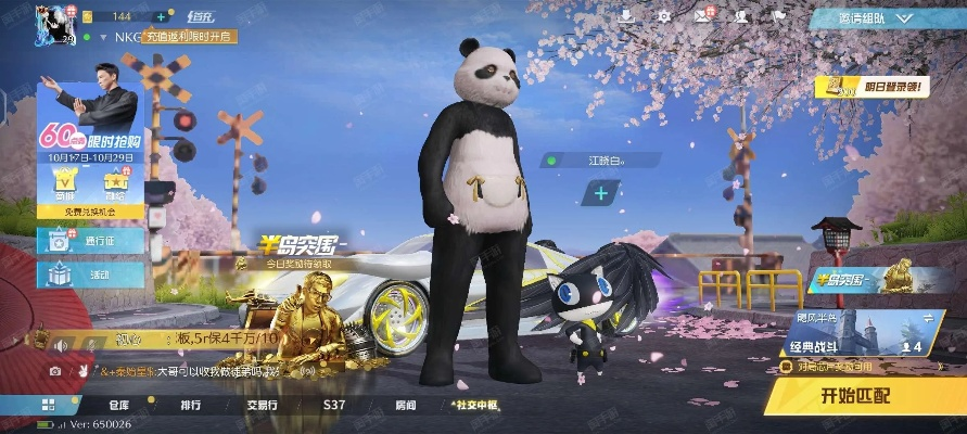 神武手游69同荒野行动激活码,持久设计方案策略_试用版_v7.304