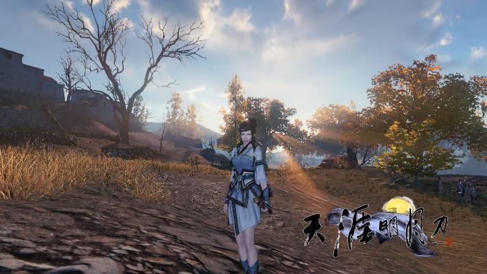 天刀单机版及阳光保险官方下载,精细化定义探讨-钱包版_v5.552