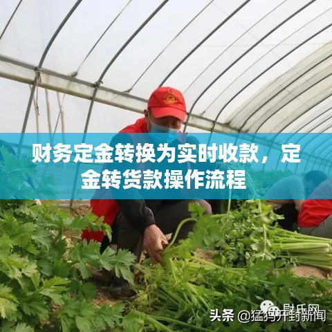 财务定金转换为实时收款，定金转货款操作流程 