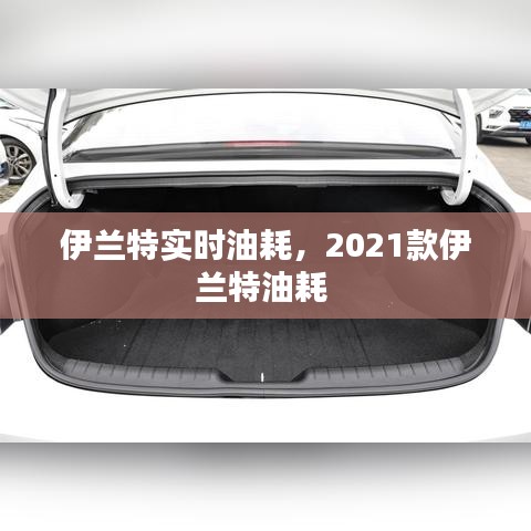 张灯挂彩 第3页