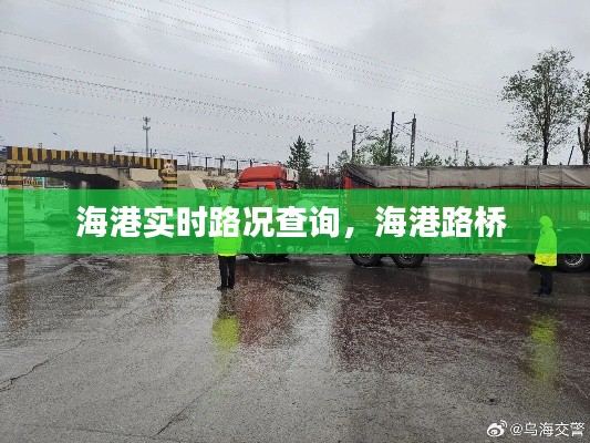 海港实时路况查询，海港路桥 