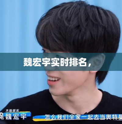 魏宏宇实时排名， 