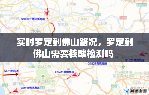实时罗定到佛山路况，罗定到佛山需要核酸检测吗 